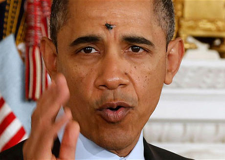 Con ruồi đậu giữa trán Tổng thống Mỹ khi ông đang phát biểu tại Nhà Trắng ngày 24/1
