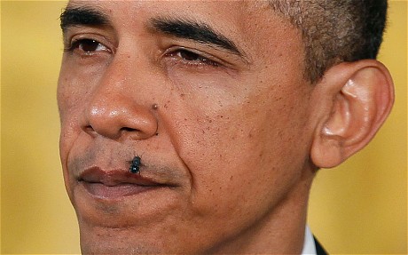 Ruồi đậu trên mép ông Obama hồi năm 2010.