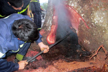 Một vụ cháy nhỏ nhưng không hề đơn giản để dập tắt.