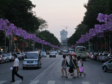 Mai vàng luôn là chủ đề chính của đất phương Nam