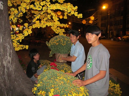 Mai vàng luôn là chủ đề chính của đất phương Nam