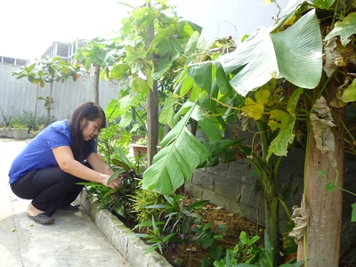 Chị Ngô Thị Cẩm chăm sóc vườn rau nhỏ bên cạnh chung cư. Ảnh: Hoàng Ny.