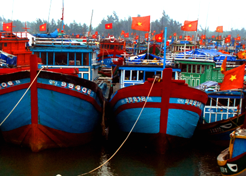 Kết thúc phiên biển cuối năm, hàng trăm tàu thuyền trở về từ vùng biển Hoàng Sa, Trường Sa cập các bến cảng Quảng Ngãi để bán cá kịp đón tết Nguyên đán Qúy Tỵ 2013.
