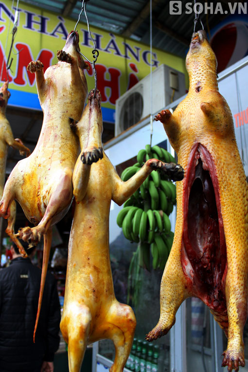 Bóc mẽ các loại thịt thú rừng ở Chùa Hương