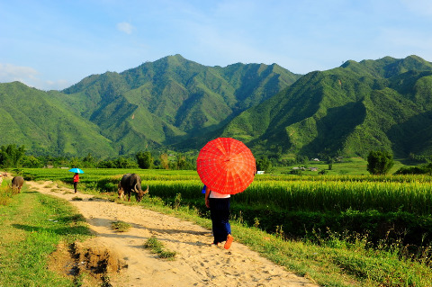 Đường vào bản từ đường quốc lộ.