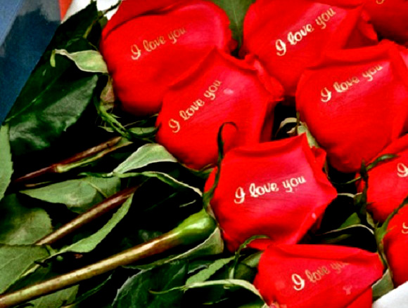 Thay lời “Anh yêu Em” bằng hoa hồng như thế nào