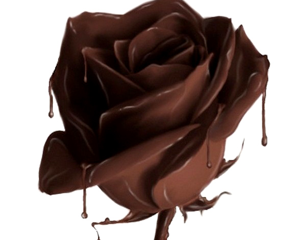 Thay lời “Anh yêu Em” bằng hoa hồng như thế nào