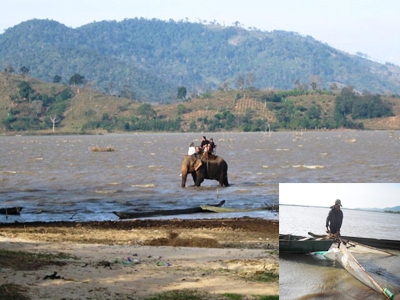 Những cánh rừng ven hồ bị tàn phá. Đánh bắt cá bằng điện trên hồ (ảnh nhỏ) 