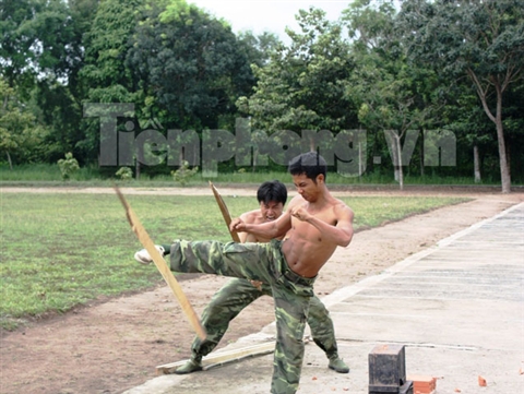 
	Trung sỹ Hàn Văn Tâm vận khí công phá gỗ (thanh gỗ dài 2m, rộng 5cm, dày 3cm) trên cẳng chân, trên cánh tay và trên lưng.