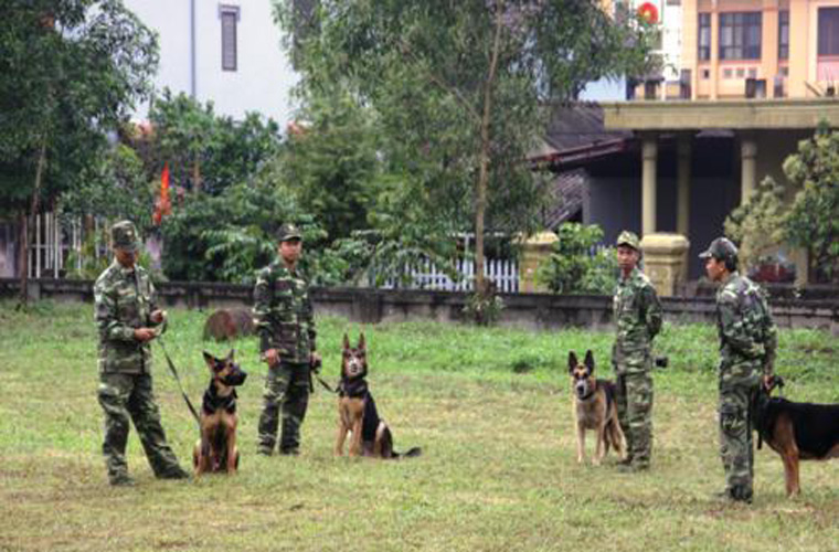 
	Những chú khuyển nghiệp vụ được “biên chế” vào lực lượng biên phòng thực hiện nhiệm vụ khá gian truân như chó chiến đấu, chó phát hiện ma túy, chó tìm kiếm chất nổ, chó cứu hộ cứu nạn...