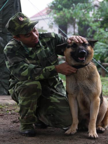 
	Chó nghiệp vụ và lính luyện khuyển có một mối quan hệ khăng khít, khó tách rời.