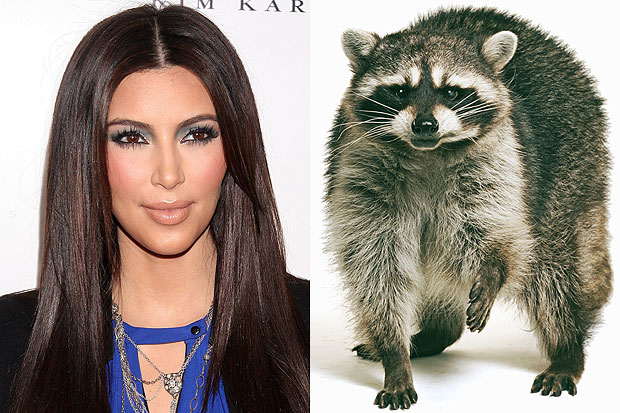 Kim Kardashian and lookalike racoon