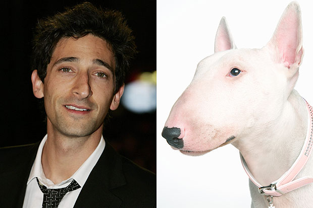 Adrian Brody and lookalike dog