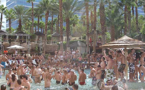 
	Hồ bơi Paradise của khách sạn casino Hard Rock. Tiệc bể bơi ở đây có thể chứa đến 7.000 khách mời. Nơi đây được Telegraph bình chọn là nơi có tiệc bể bơi hoành tráng nhất thế giới.