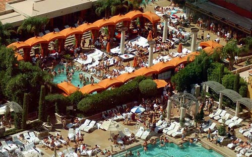 
	TAO Beach ở Las Vegas là bể bơi mang phong cách châu Á được trang bị tiện nghi, có TV, có quán bar gần kề.