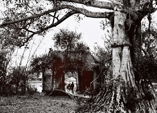 Những tấm ảnh đen trắng giàu cảm xúc về làng quê Việt Nam