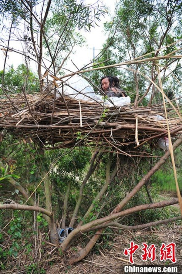 Trung Quốc: Phát hiện “người chim” sống trên “tổ cây” khổng lồ 1