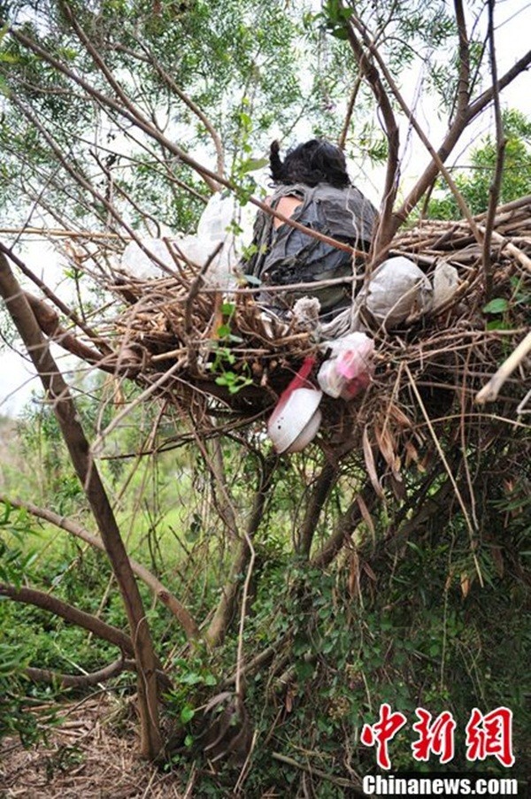 Trung Quốc: Phát hiện “người chim” sống trên “tổ cây” khổng lồ 3