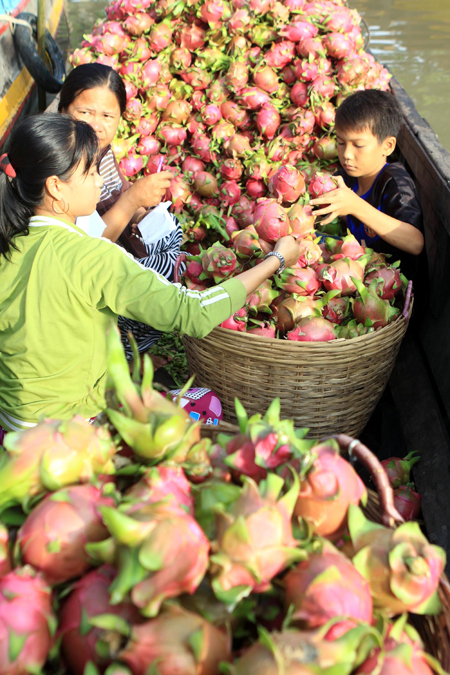 Giá trái cây tăng kỷ lục