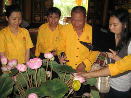 Lý giải hiện tượng hoa ưu đàm nở trên cành sen ở đền thờ Đại Nam