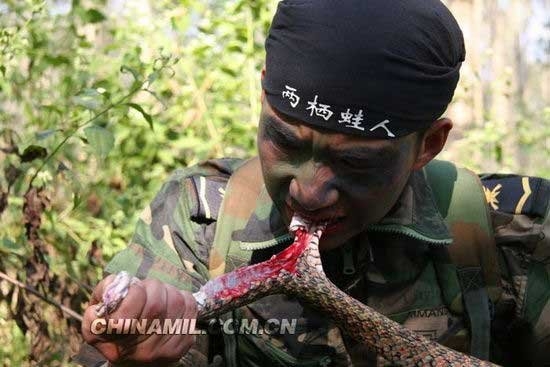 Quân đội Trung Quốc 'hổ báo' đến mức nào?
