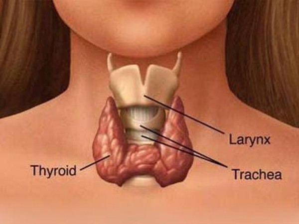 Những lý do tăng cân đáng kinh ngạc 6