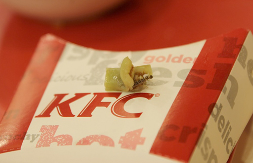 Phát hiện sâu trong đồ ăn KFC tại Hà Nội
