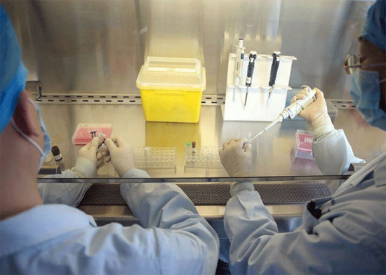 Trung Quốc phát hành thuốc thử kiểm tra bệnh cúm A/H7N9