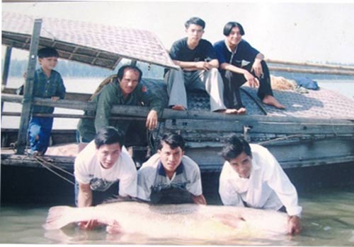 Con cá giá 170 triệu của 'vua bắt cá vàng' trên sông Lam