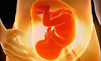 Phát hiện gen có liên quan với thai chết lưu