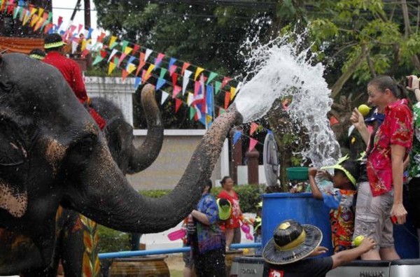 Voi phun nước vào một du khách nước ngoài tại tỉnh Ayutthaya.