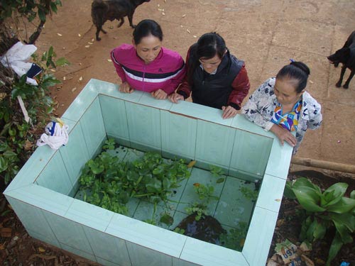 Cả huyện vái lạy... con ba ba 'biết chữa bệnh'