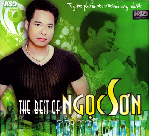 Những ngôi sao “xưng vương” nhạc Việt, Ca nhạc - MTV, Ong hoang nhac viet, dam vinh hung, ong hoang nhac tru tinh, quang dung, ong hoang nhac sen, ngoc son, ca si, am nhac, ca nhac