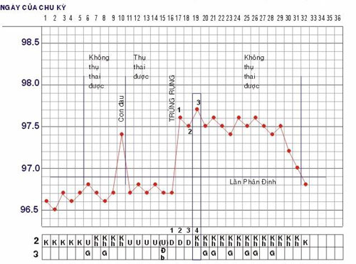 Đo thân nhiệt, tính chuẩn ngày trứng rụng - 1