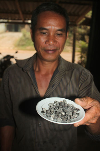 Săn đặc sản 'trời cho'... chỉ đại gia dám mua