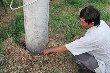 Bình Thuận: Tiếng nước sôi phát ra từ lòng đất