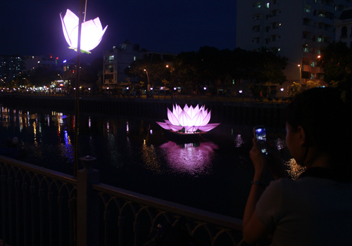 TP.HCM: Ngắm hoa sen cao 3m trên kênh Nhiêu Lộc