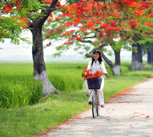 Những ca khúc mang âm hưởng ngày hè