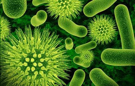 siêu vi khuẩn tình dục, bệnh lậu, kháng thuốc, kháng sinh, nguy hiểm, AIDS