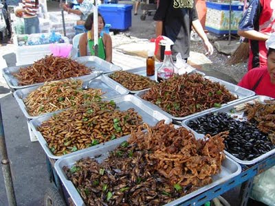 Thưởng thức những món côn trùng chiên tại Thái Lan