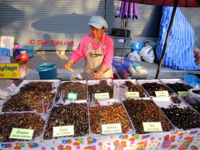Thưởng thức những món côn trùng chiên tại Thái Lan