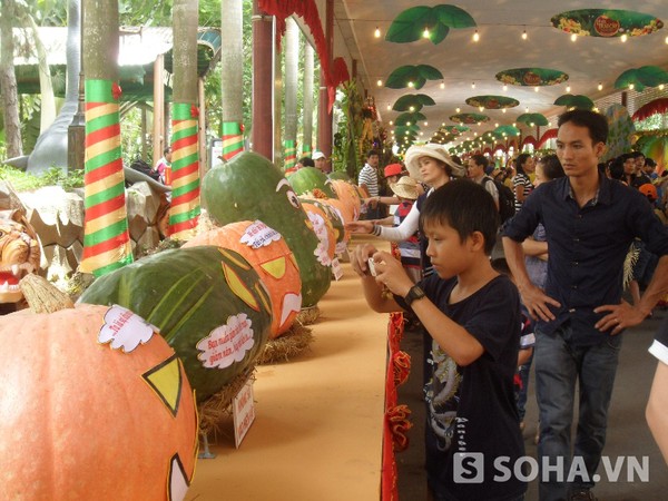 Nhiều loại trái cây có kích thước lớn được trưng bày