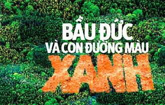 bau-duc-va-con-duong-mau-xanh