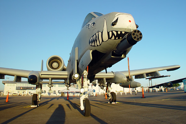 Máy bay cường kích A-10 với biệt danh 