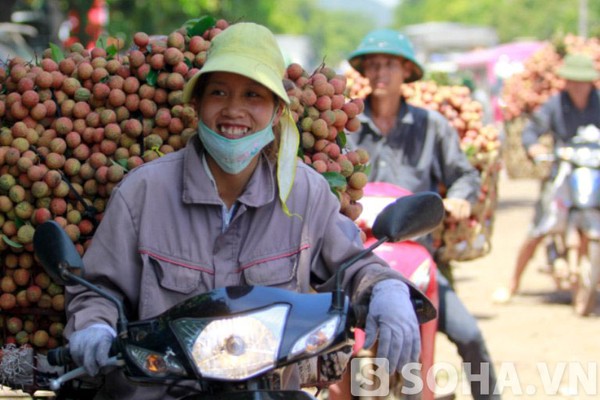 Chùm ảnh: Vải thiều xuống phố, nhộn nhịp kẻ bán người mua