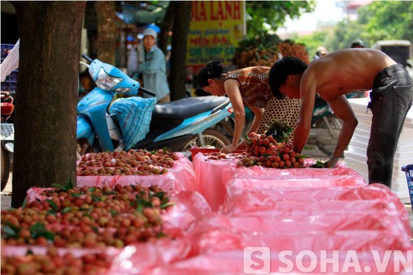 Chùm ảnh: Vải thiều xuống phố, nhộn nhịp kẻ bán người mua