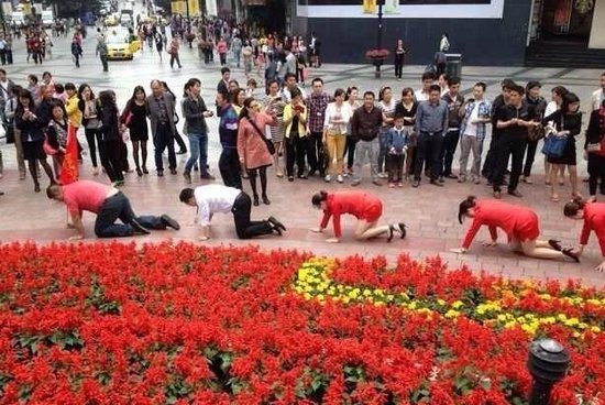 Trung Quốc: Bắt nhân viên...bò để đối phó với áp lực
