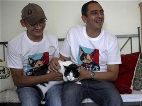 Mexico: Mèo chạy đua tranh cử chức thị trưởng