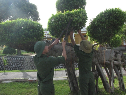 Lính đảo chăm sóc cây được ví như 'khẩu súng thần công' trên đảo. Ảnh: QĐND