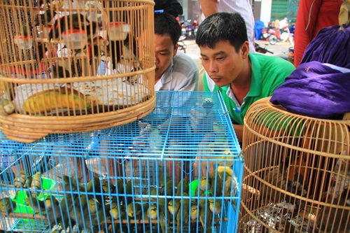 
	Bên cạnh đó, một góc chợ trở thành nơi mua bán, trao đổi các loài chim.
	Khu chợ độc đáo này không chỉ là nơi mưu sinh mà đã trở thành một nét thú vị của Sài Gòn.